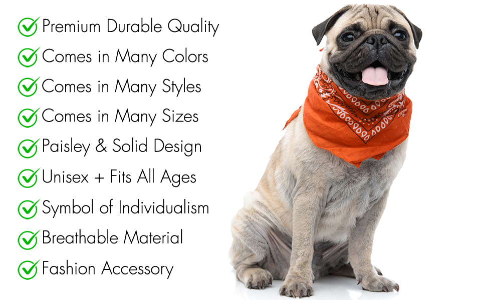 What size should a dog bandana be?